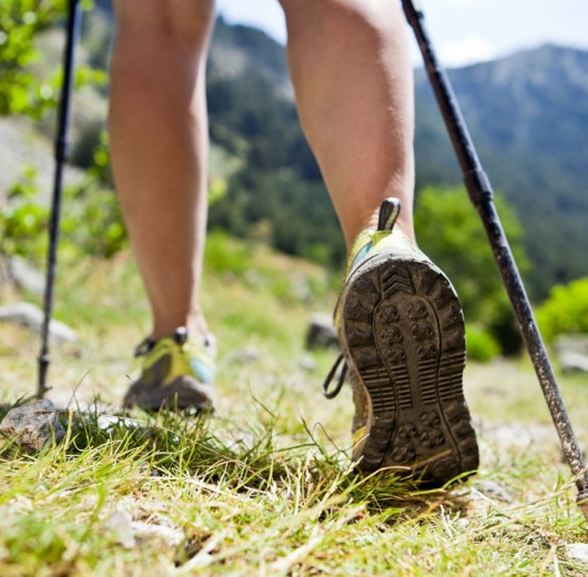 Nordic Walking in Ramsau