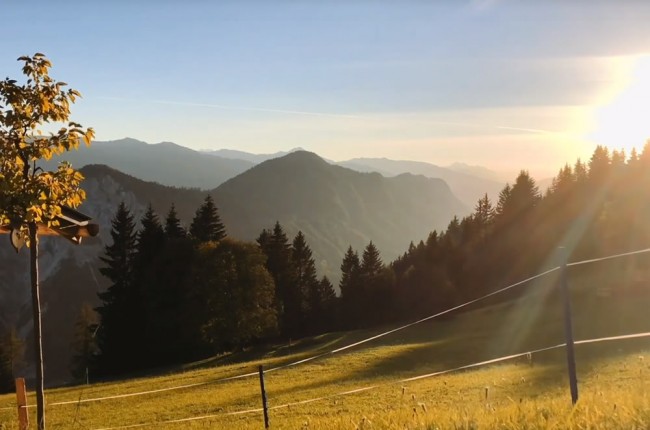 Lange Nacht der Almen 2018